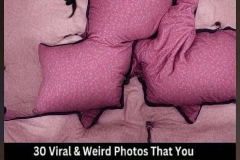 Don’t look if you can’t handle lt (20 Photos)